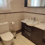 Vasiliki Villa PalaiónTsiflíkion