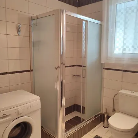 Vasiliki Palaiontsiflikion