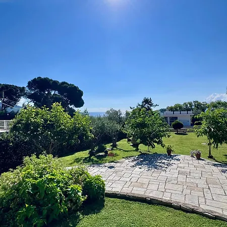 Vasiliki * PalaiónTsiflíkion