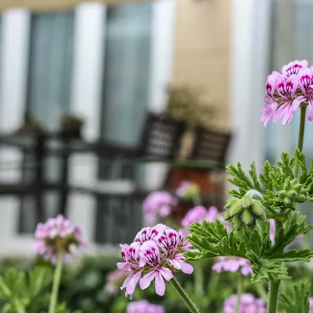 Vasiliki Villa Palaiontsiflikion