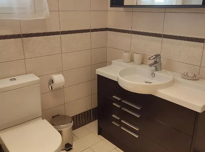 Vasiliki 别墅 PalaiónTsiflíkion